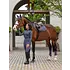 LeMieux LeMieux Spring 25' Loire Classic GP Square Saddle Pad