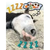 Horse Hollow Press Horse Greeting Birthday Card - ZZZZZZ!