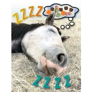 Horse Hollow Press Horse Greeting Birthday Card - ZZZZZZ!