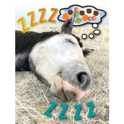 Horse Hollow Press Horse Greeting Birthday Card - ZZZZZZ!
