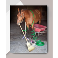 Horse Hollow Press Horse Greeting Birthday Card - Wrapped in Hose