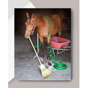 Horse Hollow Press Horse Greeting Birthday Card - Wrapped in Hose