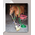 Horse Hollow Press Horse Greeting Birthday Card - Wrapped in Hose
