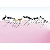 Horse Hollow Press  Horse Greeting Birthday Card - Galloping & Jumping