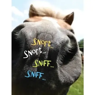Horse Hollow Press Horse Greeting Birthday Card - Snort, Snort