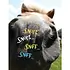 Horse Hollow Press Horse Greeting Birthday Card - Snort, Snort