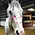 Horse Hollow Press Horse Greeting Birthday Card - Kisses