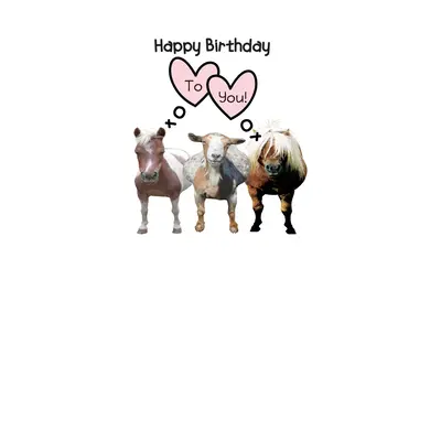 Horse Hollow Press Horse Greeting Birthday Card - Neigh, Baa, Nicker