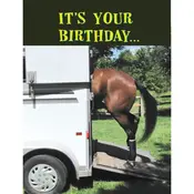 Horse Hollow Press Horse Greeting Birthday Card - Get Loaded!