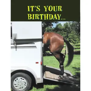 Horse Hollow Press Horse Greeting Birthday Card - Get Loaded!