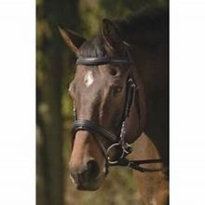 HDR Padded Dressage Bridle Black/Black