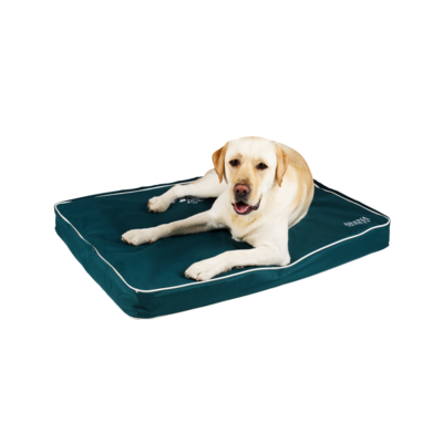 Arena Dog Bed