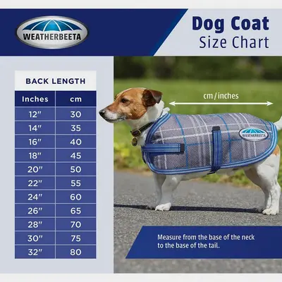 Weatherbeeta Weatherbeeta Dog Comfitec Windbreaker