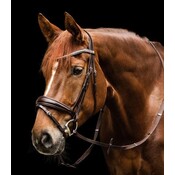 Waldhausen Waldhausen S-Line Essential Bridle