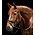 Waldhausen Waldhausen S-Line Essential Bridle