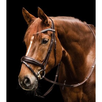 Waldhausen Waldhausen S-Line Essential Bridle