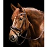 Waldhausen Waldhausen S-Line Essential Bridle