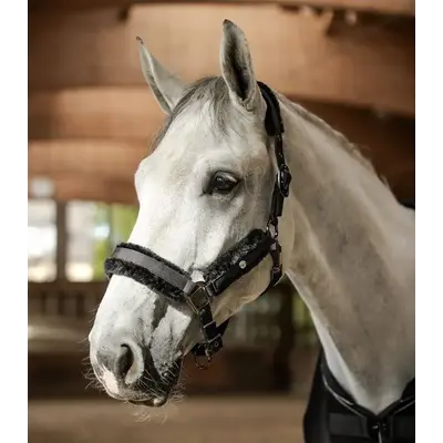 Waldhausen Waldhausen Phoenix Halter