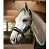 Waldhausen Waldhausen Phoenix Halter