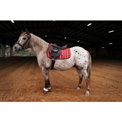 Sixteen Cypress 16C Pony Jumper Pad