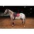 Sixteen Cypress 16C Pony Jumper Pad