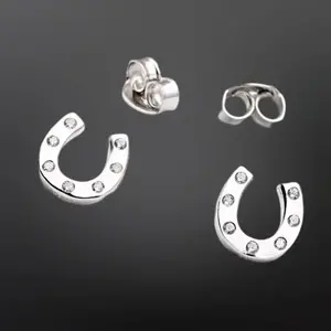 Westrian Westrian Sterling Silver Horseshoe Bling Earrings