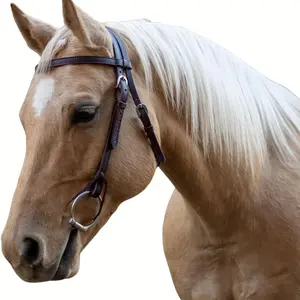 Circle Y Velociti Browband Headstall