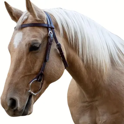 Velociti Velociti Browband Headstall