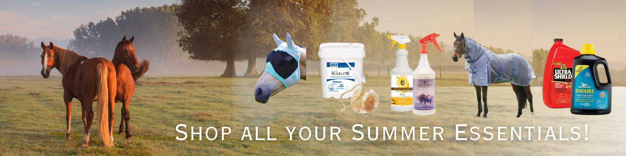 Charlotte's Saddlery banner 1
