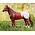 Breyer Breyer Ideal Series Appaloosa