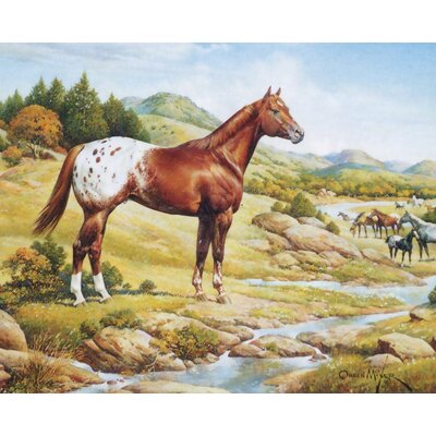 Breyer Breyer Ideal Series Appaloosa