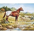 Breyer Breyer Ideal Series Appaloosa