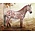 Breyer Breyer Collectable - British Spotted Pony Mare Chestnut Leopard