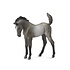 Breyer Breyer CollectA - Mustang Foal Grulla