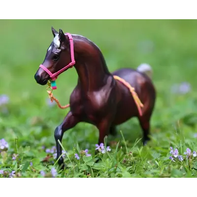 Hutson x Ellany Ellany Navy - 1.5" Rose Gold Stirrup Elastic Belt