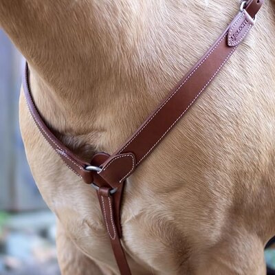 Velociti Velociti Shaped Breastcollar