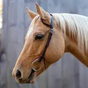 Velociti Velociti One Ear Headstall