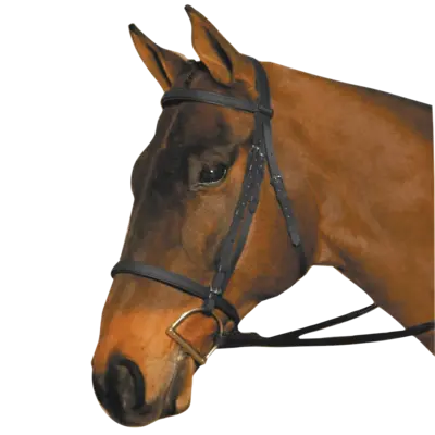 Wintec Bridle
