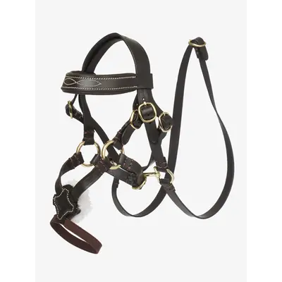 LeMieux Lemieux Toy Pony Grackle Bridle - Brown