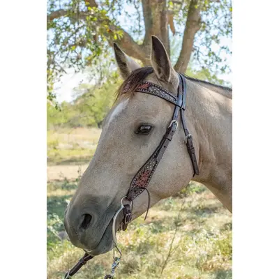 Circle Y Circle Y Dark Flash Arizona Flower Headstall