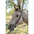 Circle Y Circle Y Dark Flash Arizona Flower Headstall