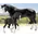 Breyer Breyer Nistar Blazing Kansas & Ethel