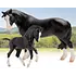 Breyer Breyer Nistar Blazing Kansas & Ethel