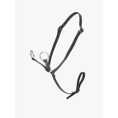 LeMieux Lemieux Toy Pony Martingale - Black