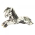 Douglas Douglas - Starsky Appaloosa Horse