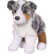 Douglas Douglas - Steward Australian Shepherd