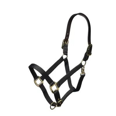 Arma Arma Nylon Halter With Leather Head Strap -