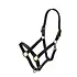 Arma Arma Nylon Halter With Leather Head Strap -