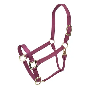 Arma Arma Premium Adjustable Nylon Halter -