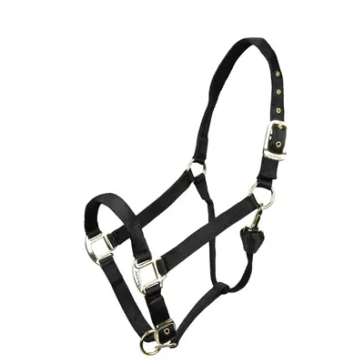 Arma Arma Premium Adjustable Nylon Halter -